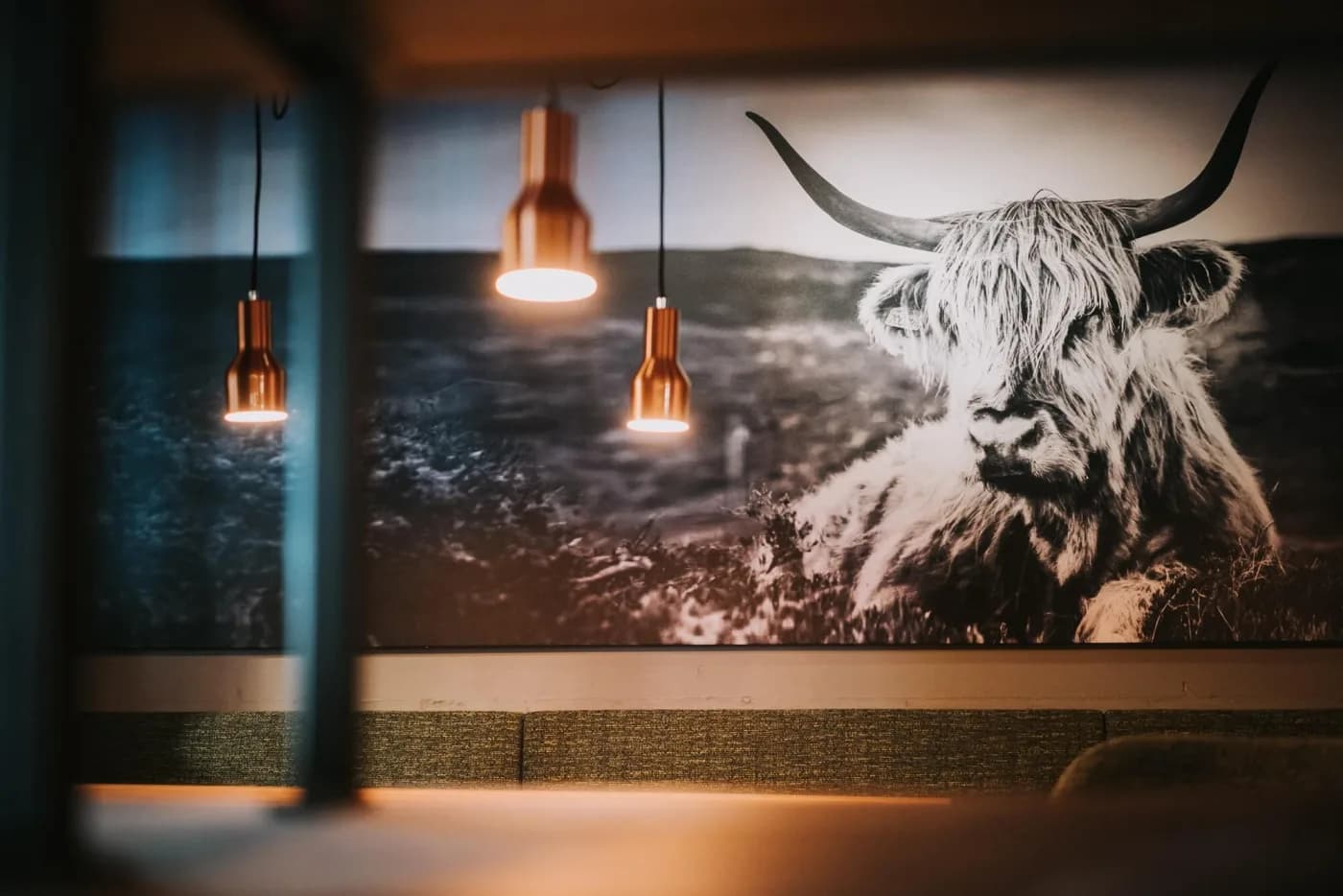 Schwarzweißes Bild eines Hochlandrinds an der Wand